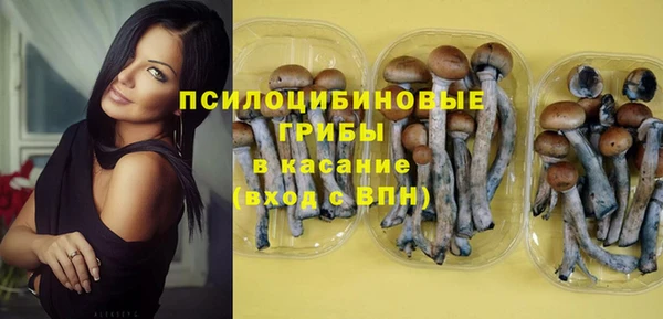мдпв Балабаново