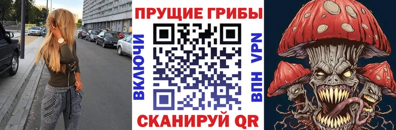 Галлюциногенные грибы Psilocybe закладки Томари